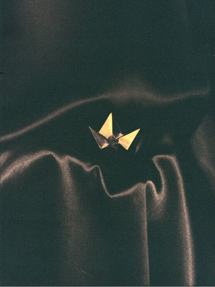 Image 8
